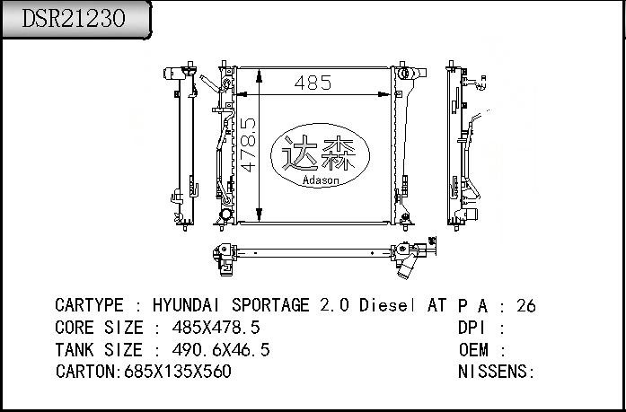 DSR21230