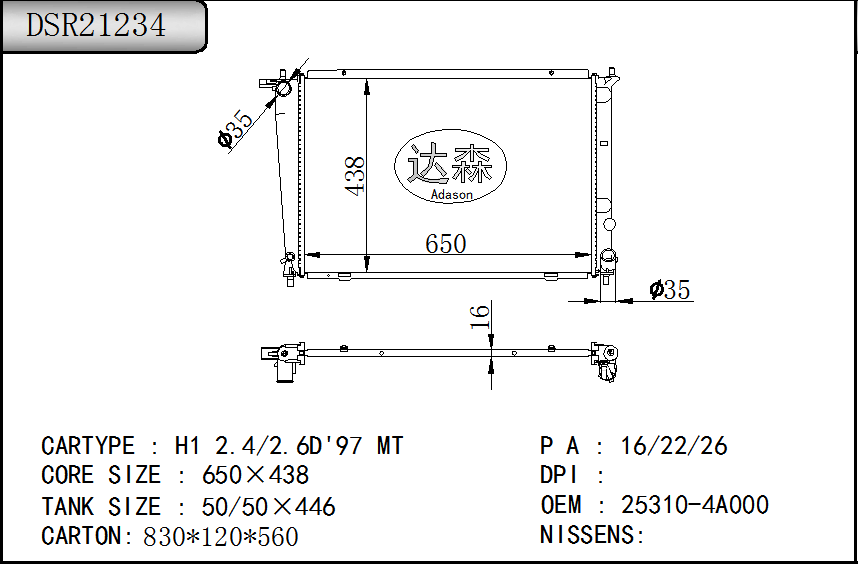 DSR21234