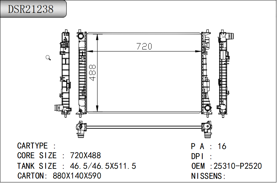 DSR21238