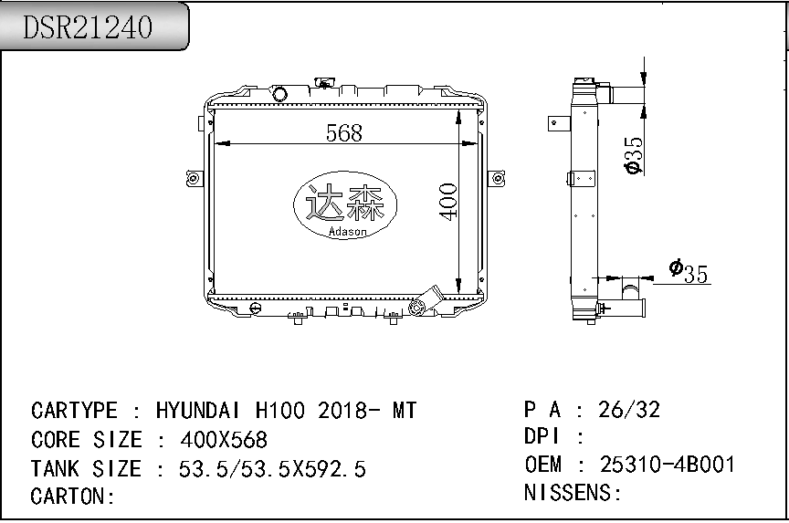 DSR21240