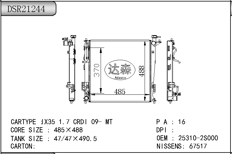DSR21244