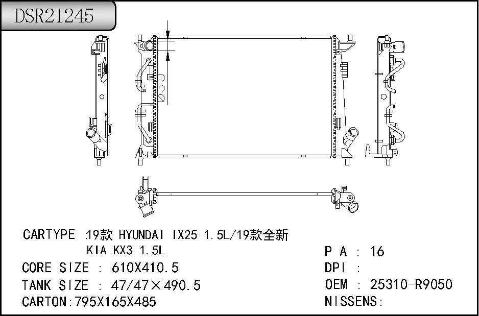 DSR21245