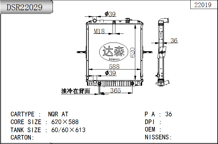DSR22029