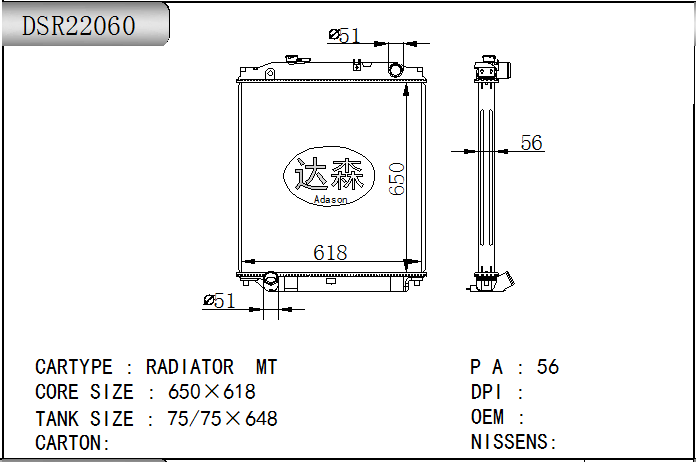 DSR22060