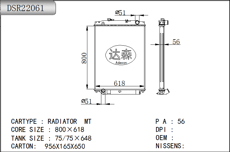 DSR22061