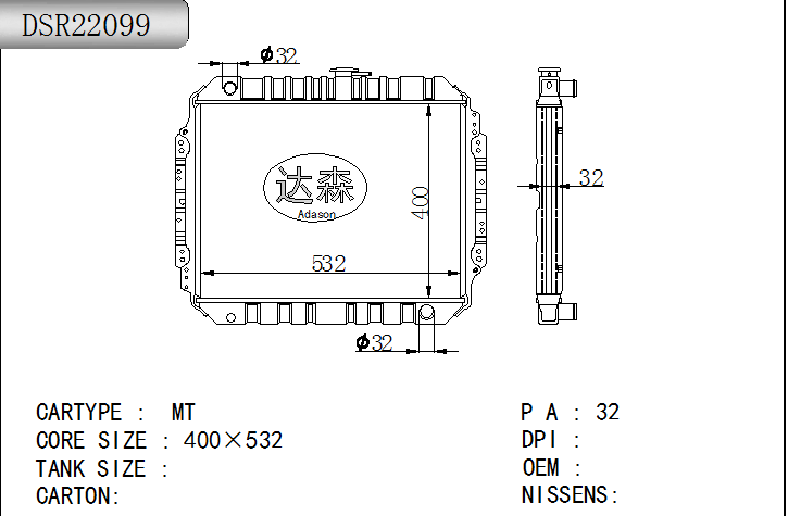 DSR22099