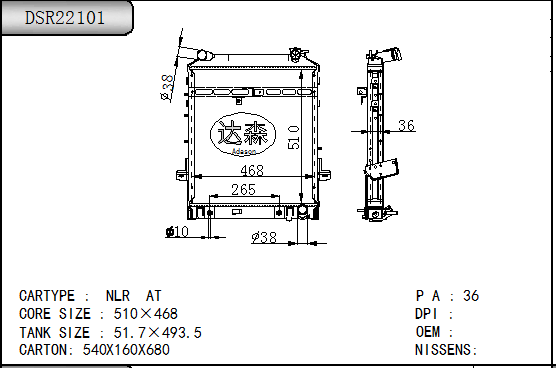 DSR22101