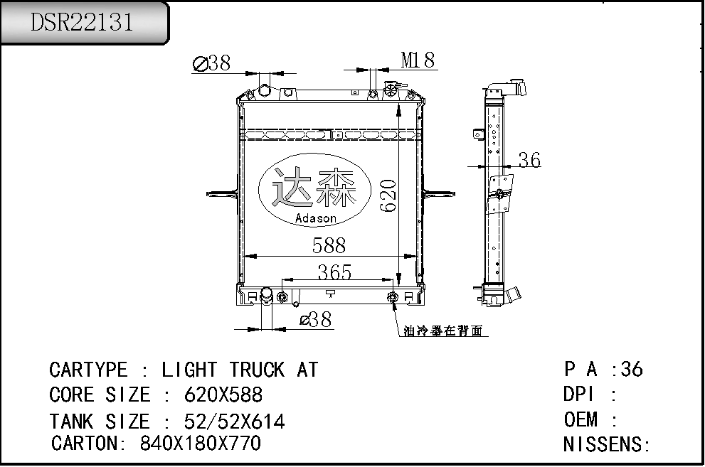 DSR22131