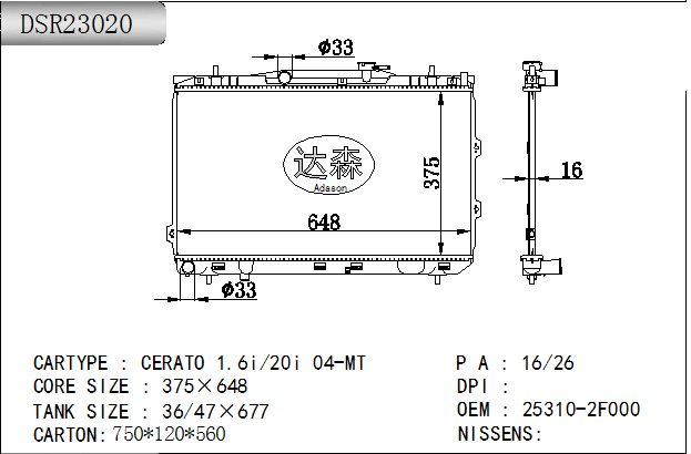 DSR23020