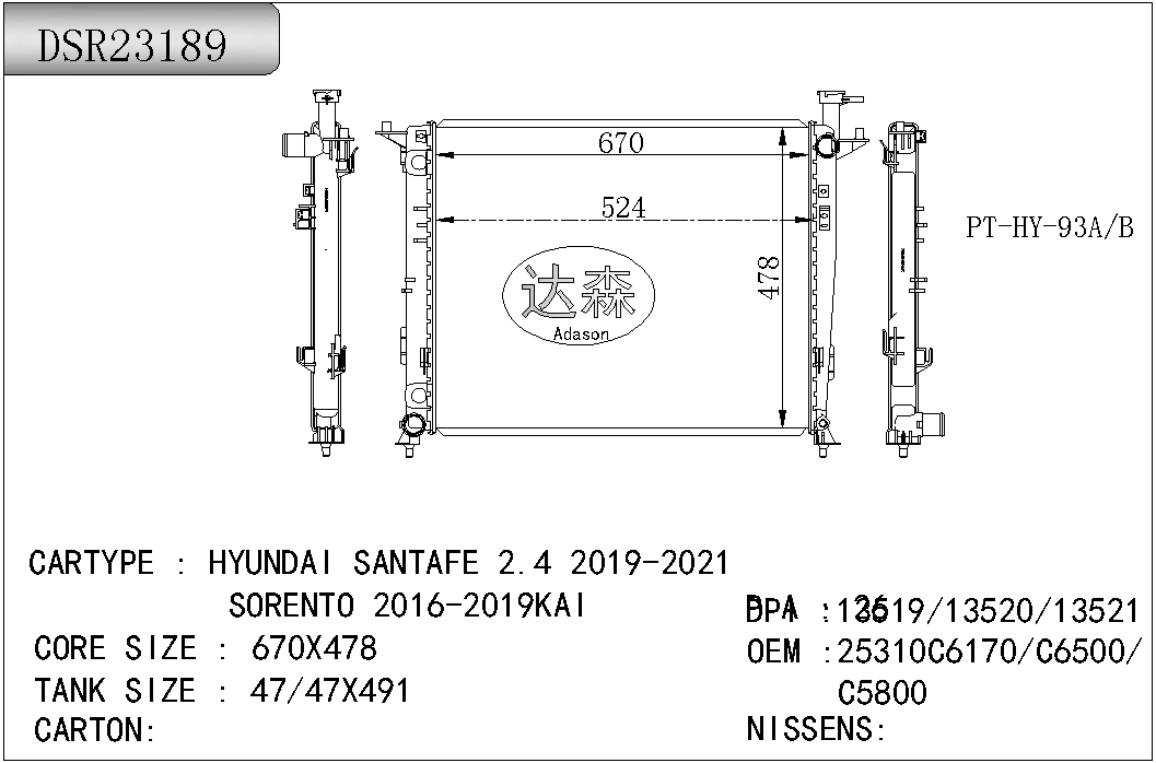 DSR23189