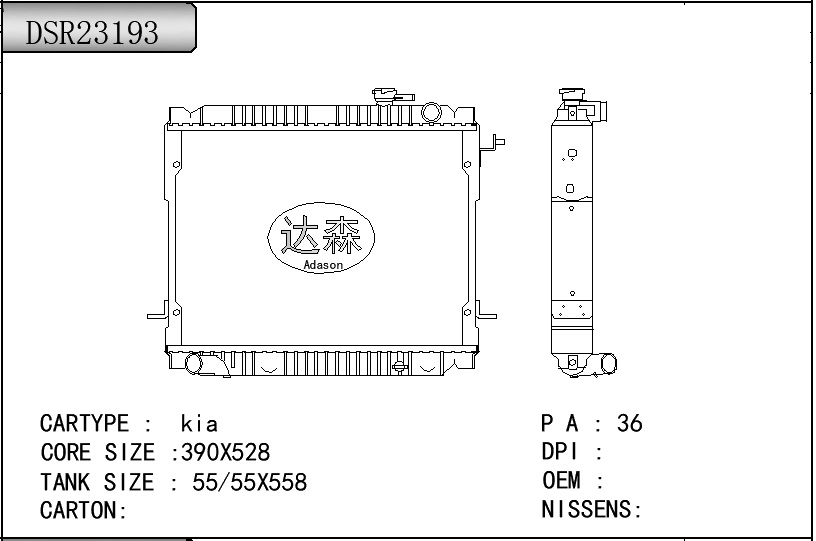 DSR23193