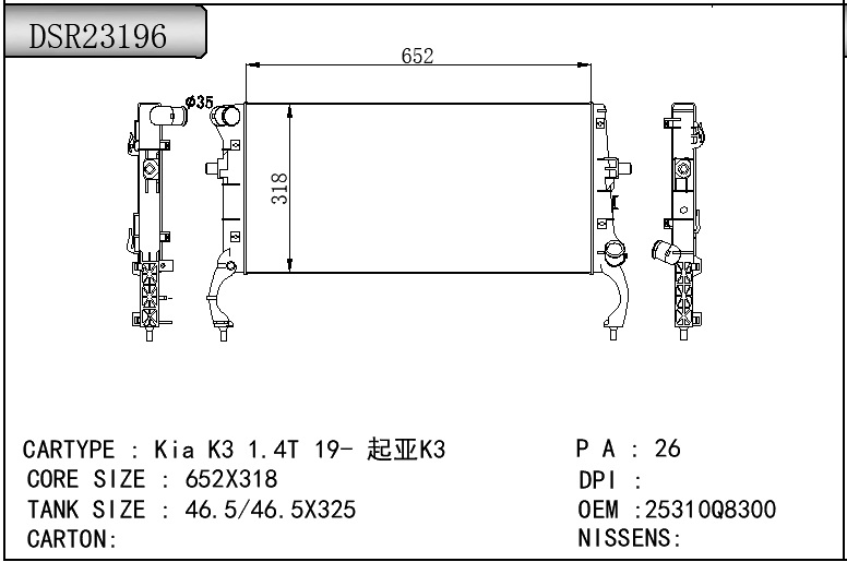 DSR23196