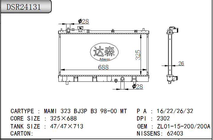DSR24131