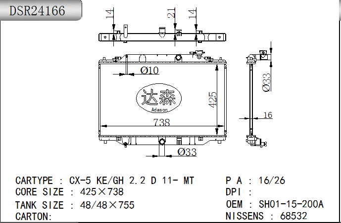 DSR24166