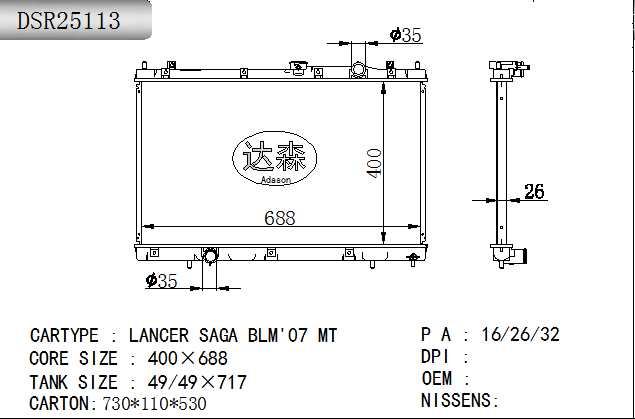 DSR25113