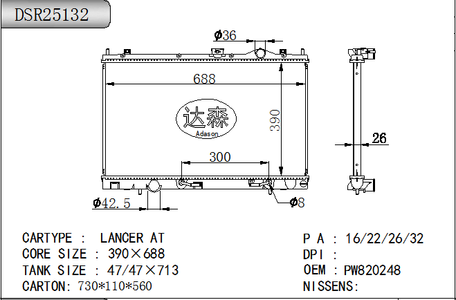 DSR25132