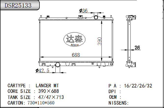 DSR25133