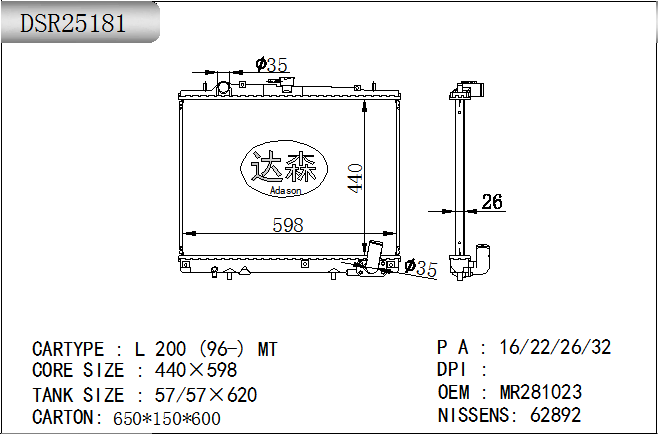 DSR25181