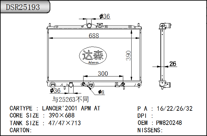 DSR25193