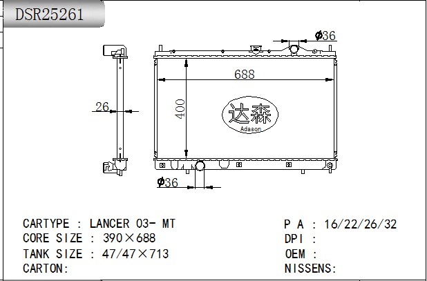 DSR25261