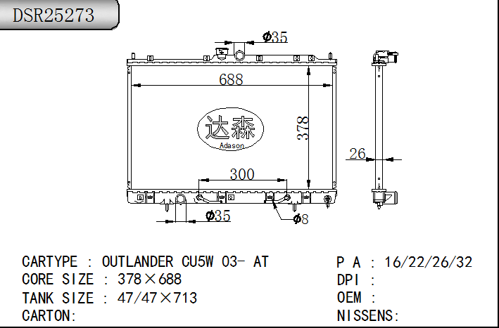 DSR25273
