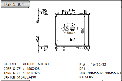 DSR25304