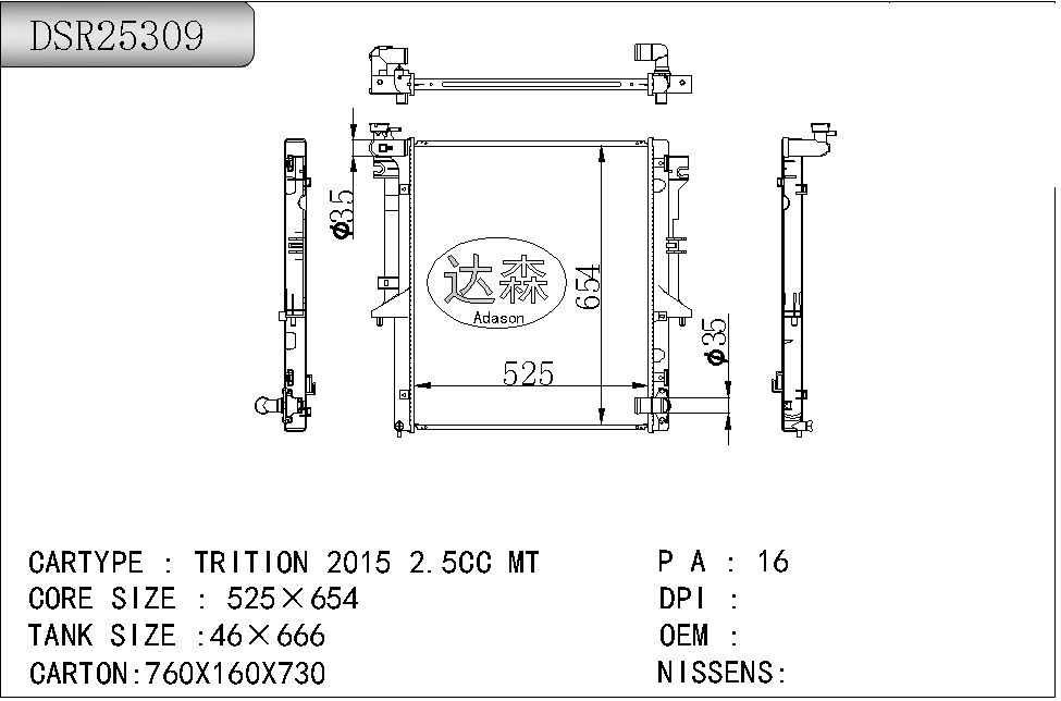 DSR25309