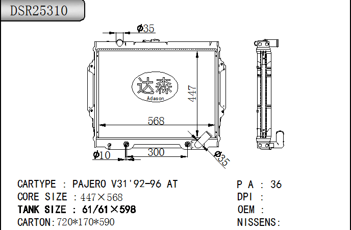 DSR25310