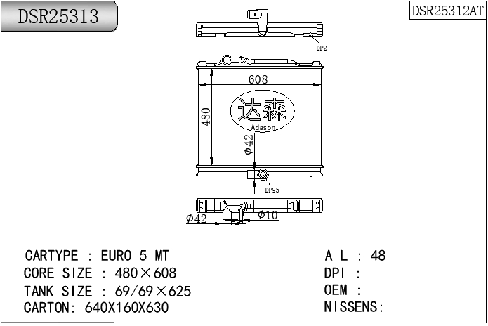 DSR25313