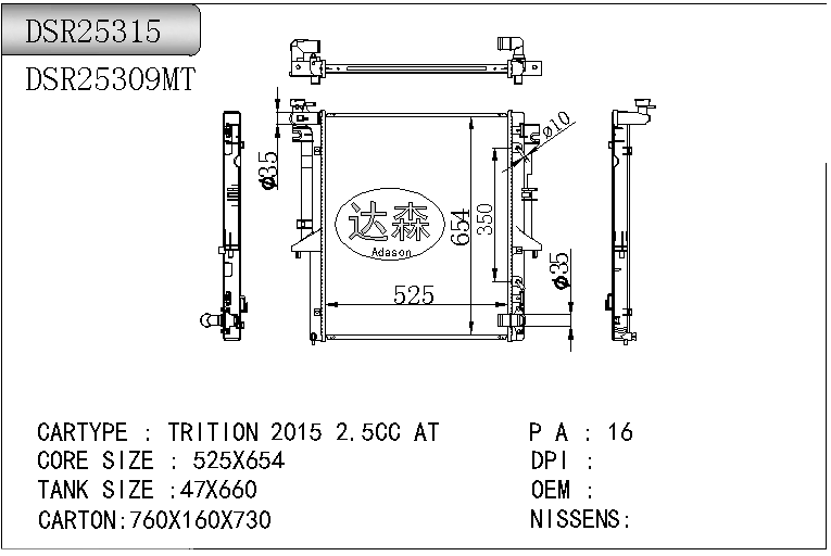 DSR25315