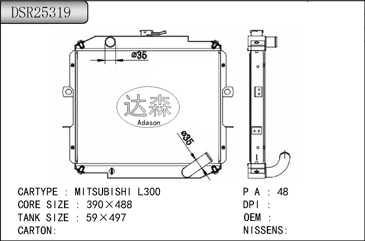 DSR25319