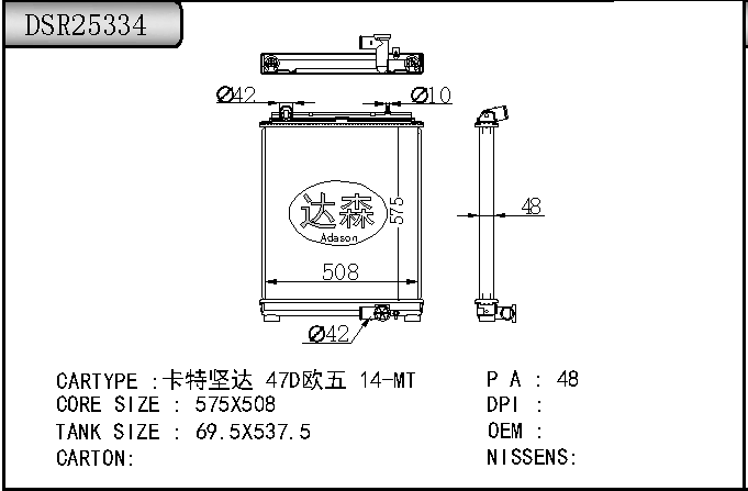 DSR25334