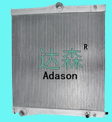 DSR13038