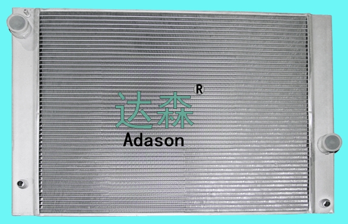 DSR13058
