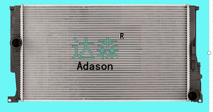 DSR13066