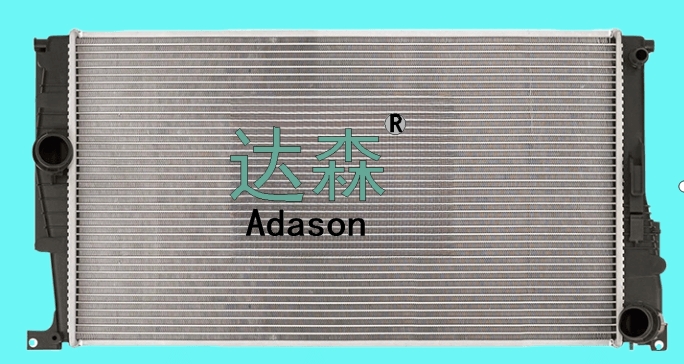 DSR13067