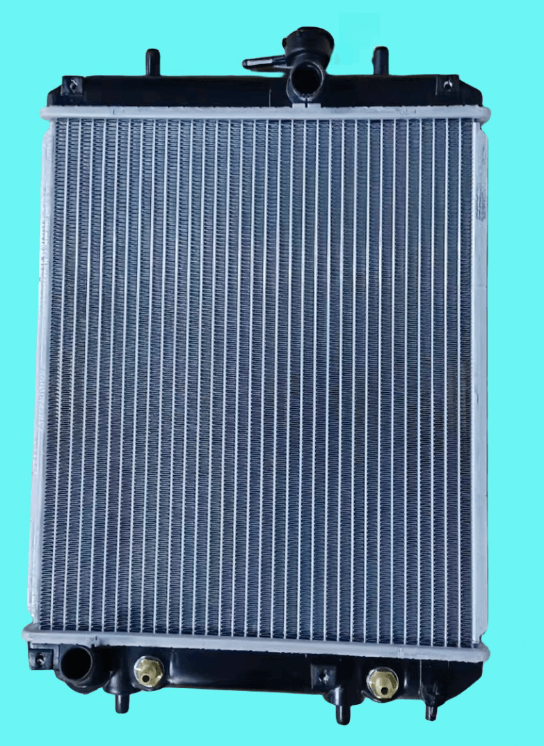 DSR15019