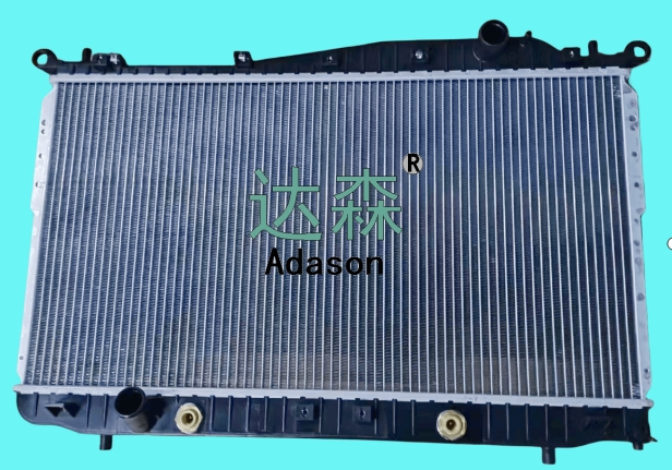 DSR19006